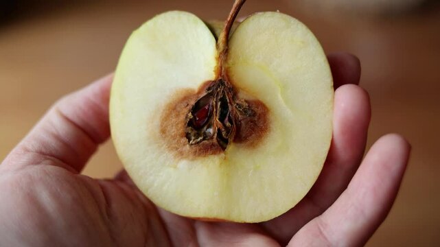 half an apple with rotten core in hand. concept of fake identity. hidden mental health issues
