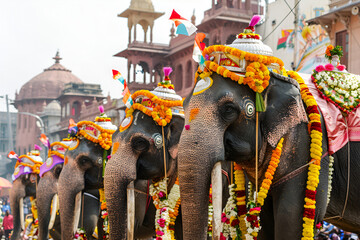 Majestic elephants adorned in colorful garlands during vibrant indian festival parade