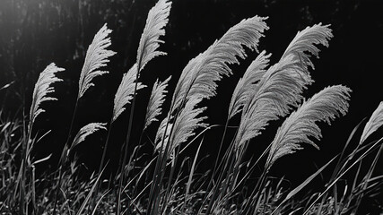 Blades of Grass Gently Swaying in the Wind During a Peaceful Afternoon