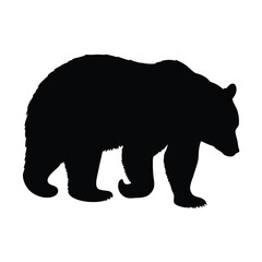A black bear is walking on a white background. The bear is walking with its head down. The bear is walking on the right side of the image