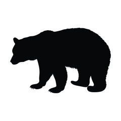 A black bear is walking on a white background. The bear is walking with its head down. The bear is walking on the right side of the image