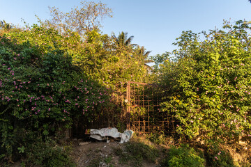 An old, dilapidated, rustic gate overgrown with lantana bushes in a ruin in a village in south India,