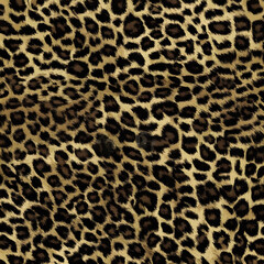 leopard print, leopard spots, fluffy background, real wild cat fur, fashion design for clothing