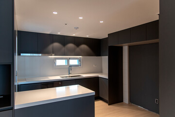 interior of the modern kitchen in the apartment