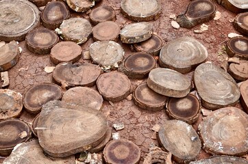 Brown sliced wood grunge flooring texture isolated on horizontal outdoor soil background.