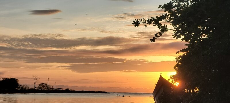 Horizonte en alborada