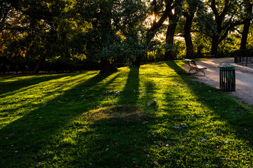 Obraz premium A park with a bench and a trash can. The bench is empty. The grass is green and the trees are in the background