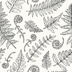 Hand drawn fern seamless pattern © Maria