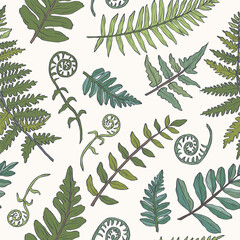Hand drawn doodle fern branches seamless pattern © Maria