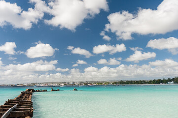 Beach in Barbados and Caribbean Sea.
