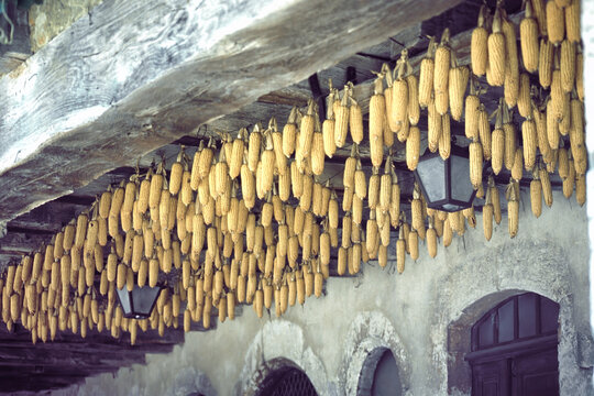 Perouges, medieval village in France: cobs