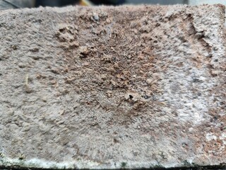 Old cement wall texture. Abstract background for design with copy space.