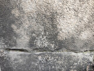 Old cement wall texture. Abstract background for design with copy space.