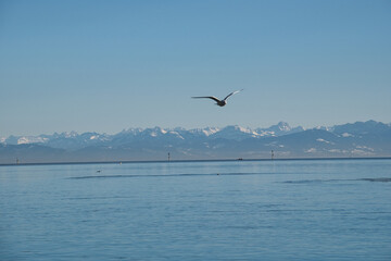 Fototapeta premium Bodensee, Alpensicht bei Föhn von Konstanz aus