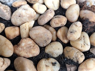 Stone pebbles in the ground, closeup of photo.