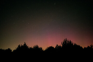 Perseid meteor during Northern Lights event