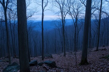 Fototapeta premium Tranquil Blue Hour in a Serene Forest Landscape Capturing the Beauty of Nature's Twilight, Inviting Reflection and Peace in the Heart of the Woods
