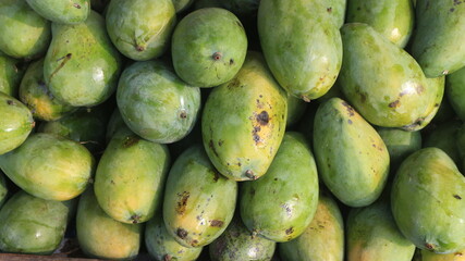 Fresh mango fruits for sale in the street Indonesia market. © Aufa Fahmi 