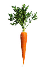carrot isolated on transparent background , top view 