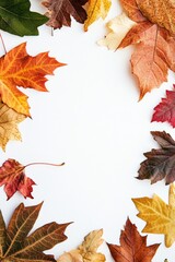 Colorful Fall foliage background. Seasonal theme for greeting card background.