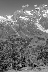 Wandern in den Hohen tauern