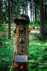 Hiking to Saustein and Proeller Summits in the Bavarian Forests Germany.