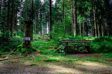 Hiking to Saustein and Proeller Summits in the Bavarian Forests Germany.
