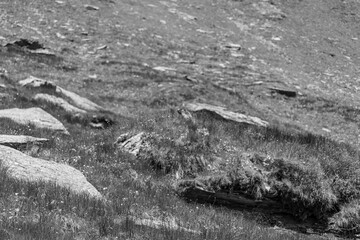 Sommerzeit in den Alpen