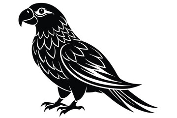 Fototapeta premium Parrot Bird vector
