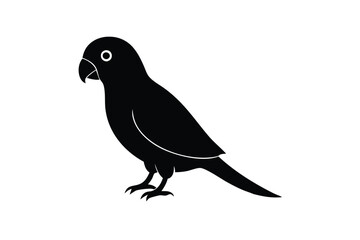 Obraz premium Parrot Bird vector