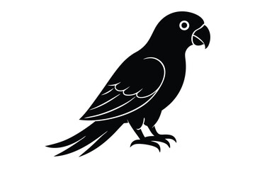 Parrot Bird vector