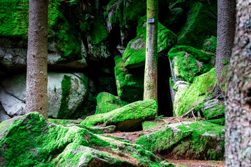Hiking to Saustein and Proeller Summits in the Bavarian Forests Germany.