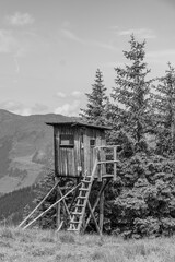 Sommerzeit in den Alpen