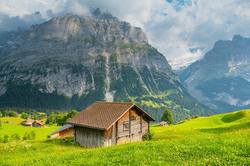 Obraz premium View on the alpine valley Grindelwald. Jungfrau, Switzerland. Under the Bernese alps. Mountain village.