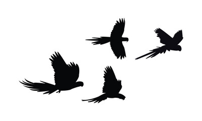 Flying Macaw Bird Silhouette Design  And Vector Illustration.  © Syed Zakir Hossen