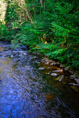 Hiking along ILZ River near Diessenstein in the Bavarian Forests Germany.