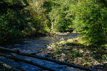 Hiking along ILZ River near Diessenstein in the Bavarian Forests Germany.