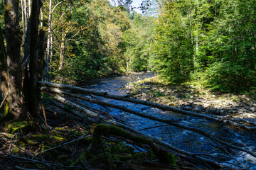 Hiking along ILZ River near Diessenstein in the Bavarian Forests Germany.