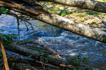 Hiking along ILZ River near Diessenstein in the Bavarian Forests Germany.