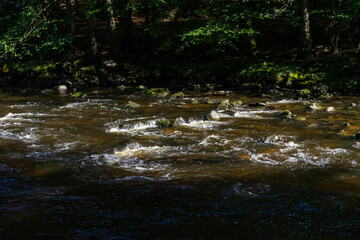 Hiking along ILZ River near Diessenstein in the Bavarian Forests Germany.