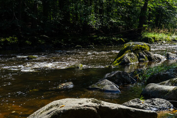 Hiking along ILZ River near Diessenstein in the Bavarian Forests Germany.