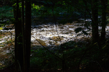Hiking along ILZ River near Diessenstein in the Bavarian Forests Germany.