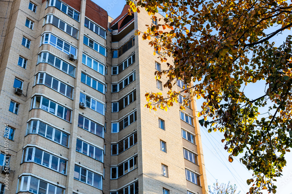 Canvas Prints elm tree branch and multi-story brick building