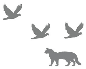 Obraz premium birds are craying the cat