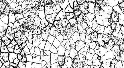 Obraz premium texture of branches, a black and white drawing of cracked walls, vintage grunge texture, a black and white drawing of a cracked land, grunge texture of old paint wall, vintage cracked background, 