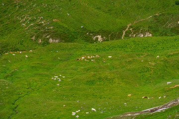 Mittersill in den &ouml;sterreichischen Alpen