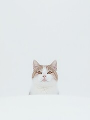 Cute Cat in Snowy Winter Wonderland