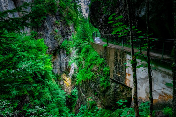Hiking through the Giessenbach Gorge in Bavaria Germany
