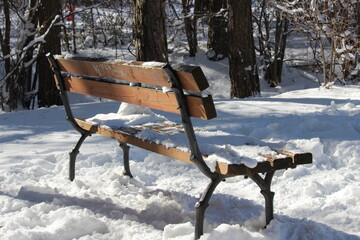 Snow-covered park bench in a tranquil winter forest during daylight