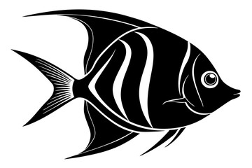 black and white fish